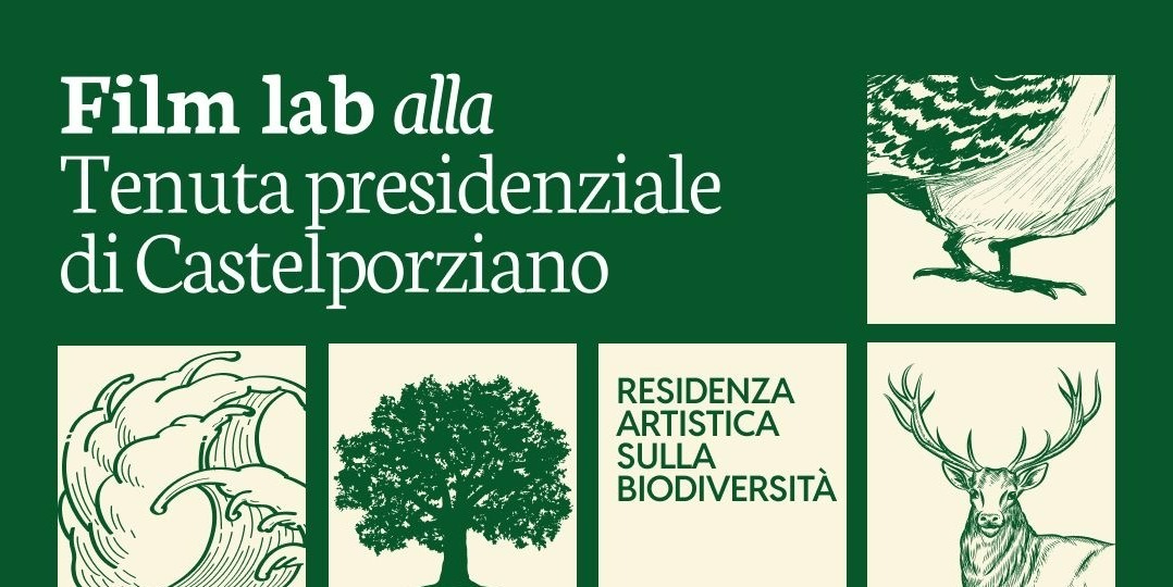 Immagine News